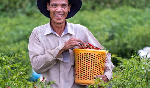 Lorem Ipsum
- Petani 1