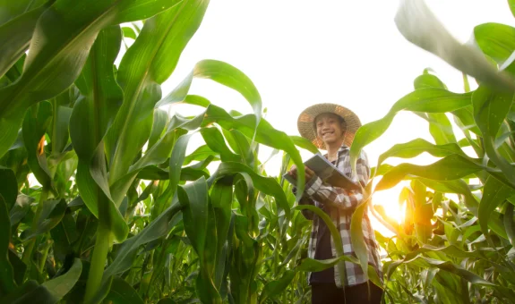 Lorem Ipsum
- Petani 3