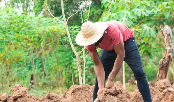 foto-petani-r0213gibs5o7aumeixxivg3wpzp4juwp8u1b2gsweg